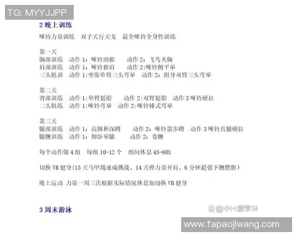 全面解析哑铃健身计划助你塑造完美身材的秘诀与实用技巧